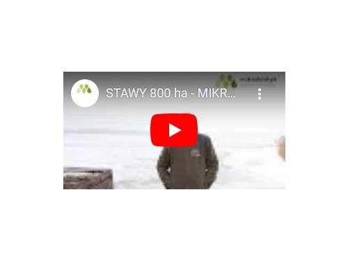 800 ha stawy rybne - mikrobiotyk - pomógł w oczyszczeniu stawów