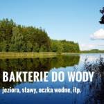 STAWY i OCZKA WODNE- naturalne środki mikrobiologiczne