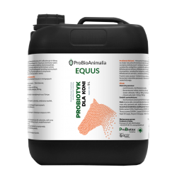 EQUUS Mikroorganiczny Probiotyk dla konia - 5L