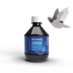 Probiotyk dla gołębi VOLANTOR - 0,2L